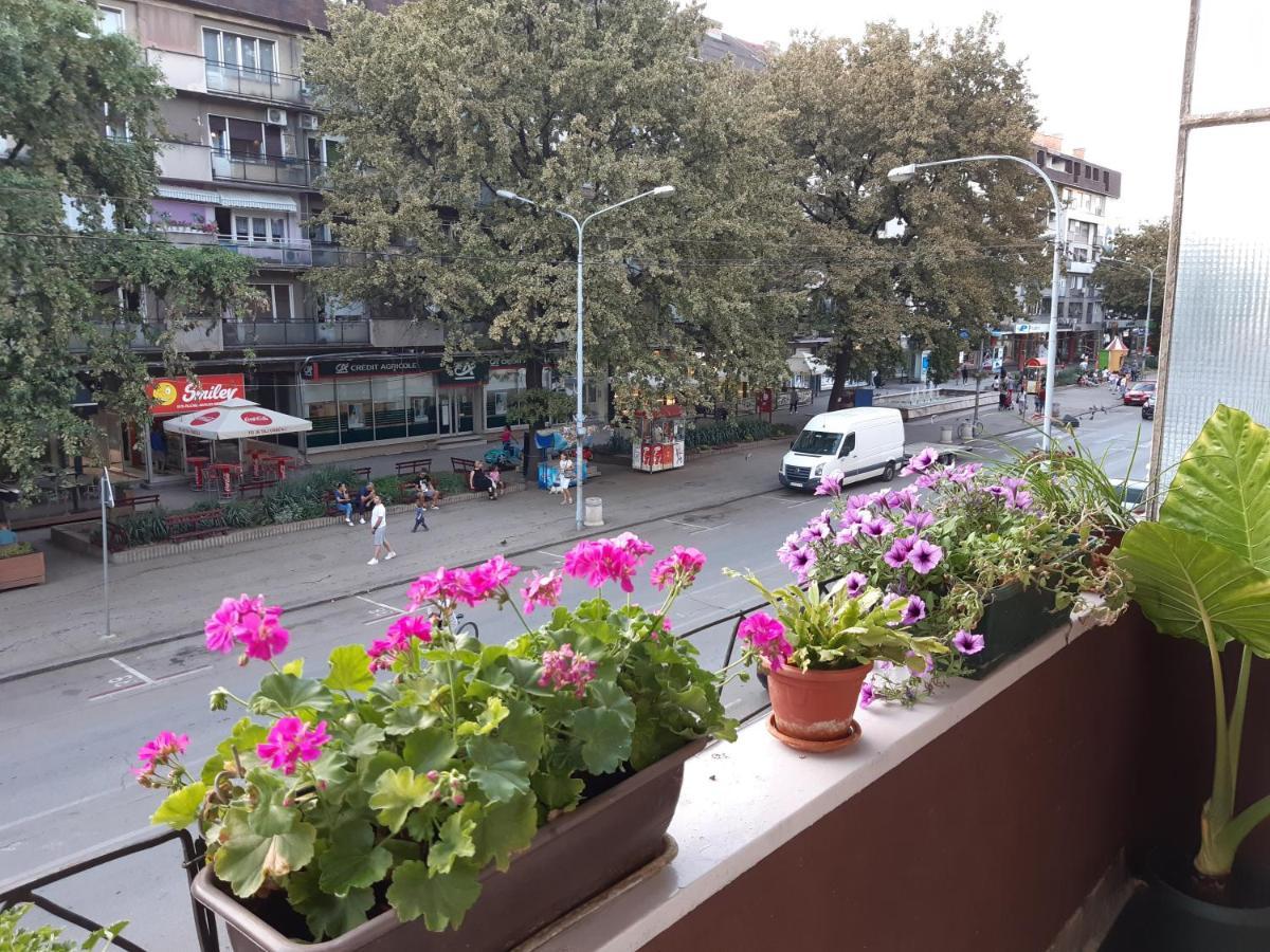 Požarevac Apartman Nada מראה חיצוני תמונה