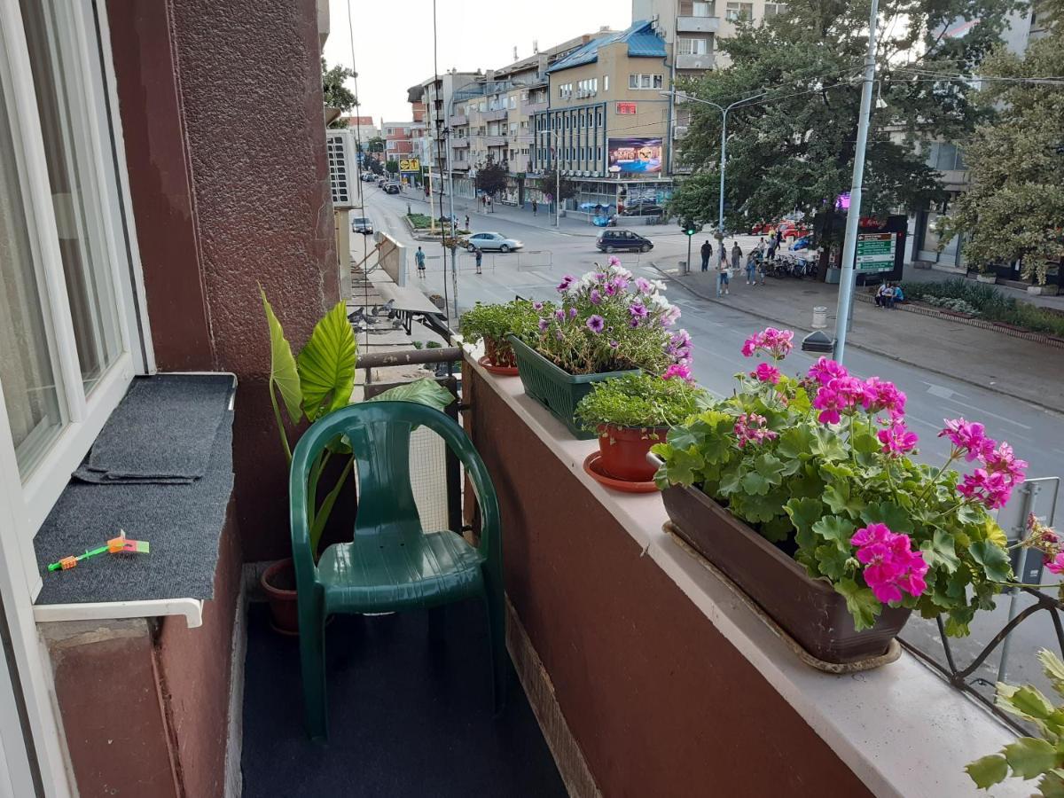 Požarevac Apartman Nada מראה חיצוני תמונה